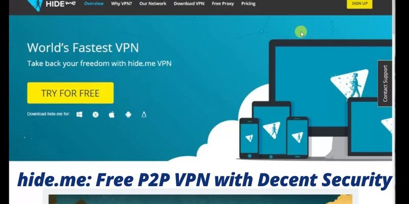 free p2p VPN
